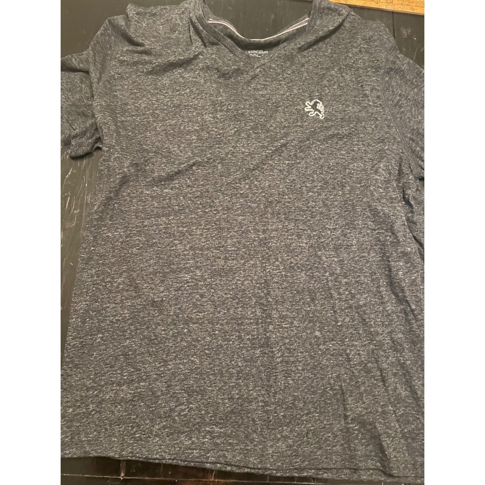Express Jersey Mens XL V-Neck T-Shirt Charcoal Gray Heathered Lion Logo Tee